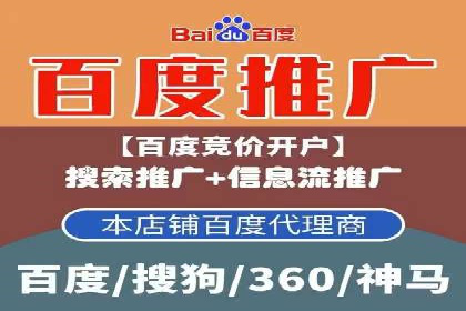 百度搜索推广案例集锦：实战技巧分享